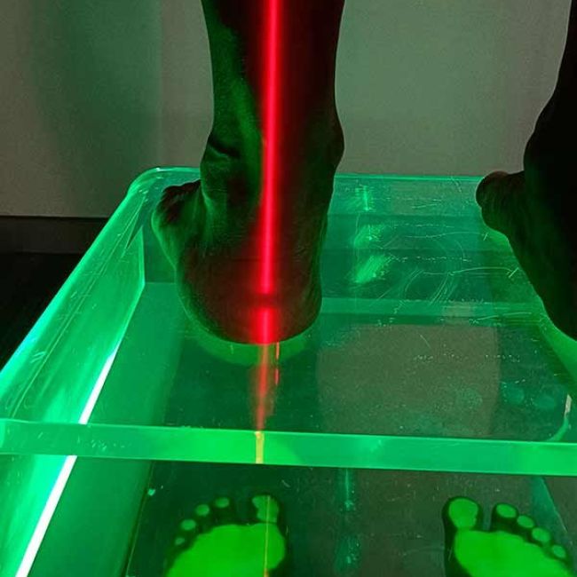 Especializados en el estudio biomecánico de la pisada